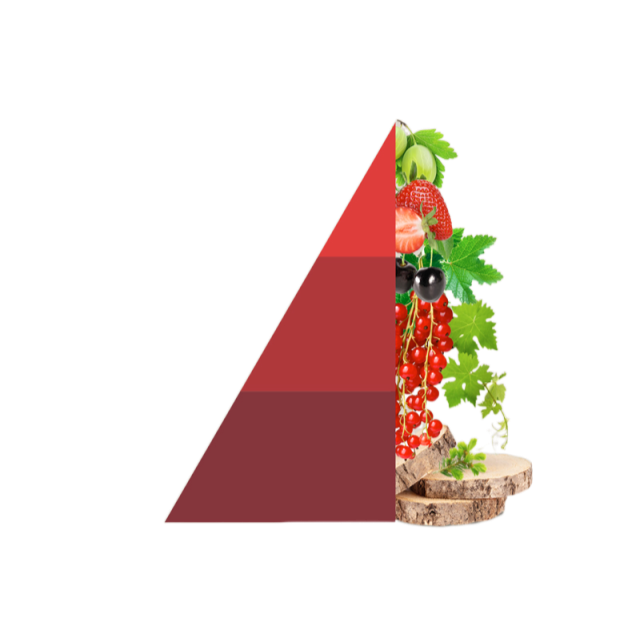 Geurstokjes Vigneto Rosso