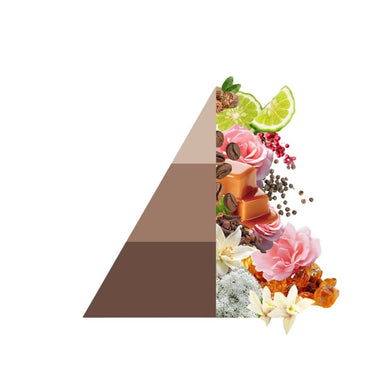 Horomia wasparfum spring summer Mocha mousse