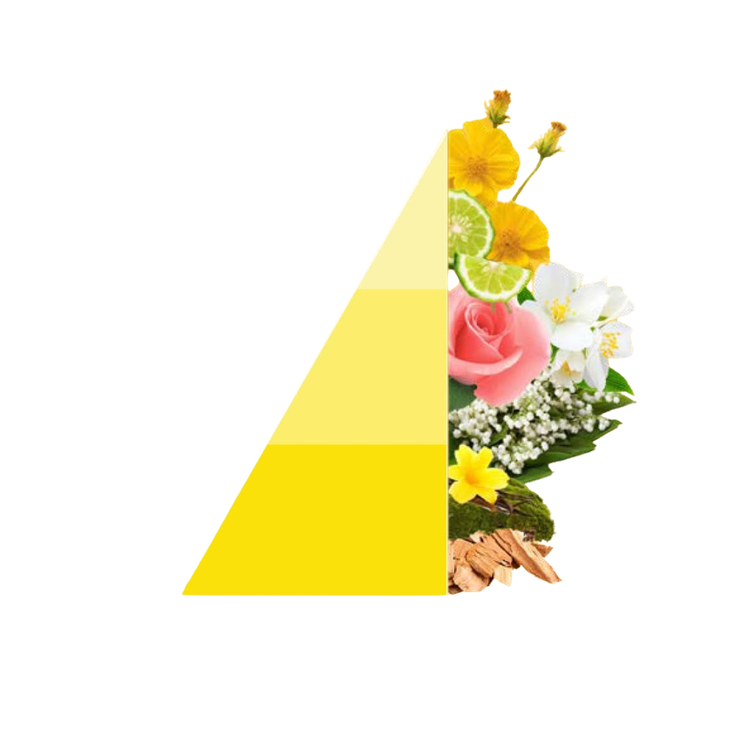 Horomia wasparfum spring-summer Eterea