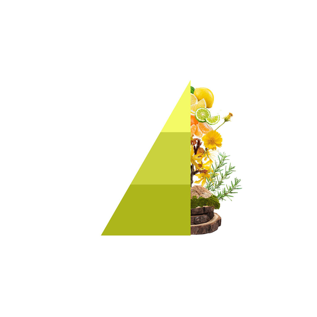 Geurstokjes White tea & Tangerine