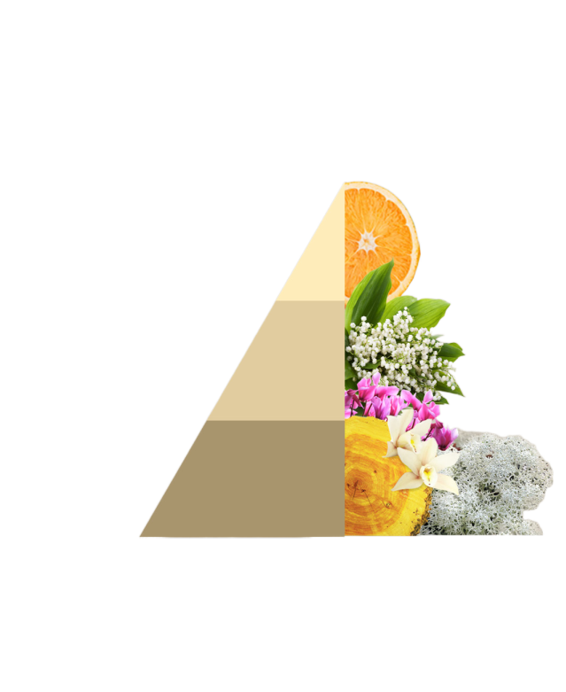 Geurzakjes Gold argan