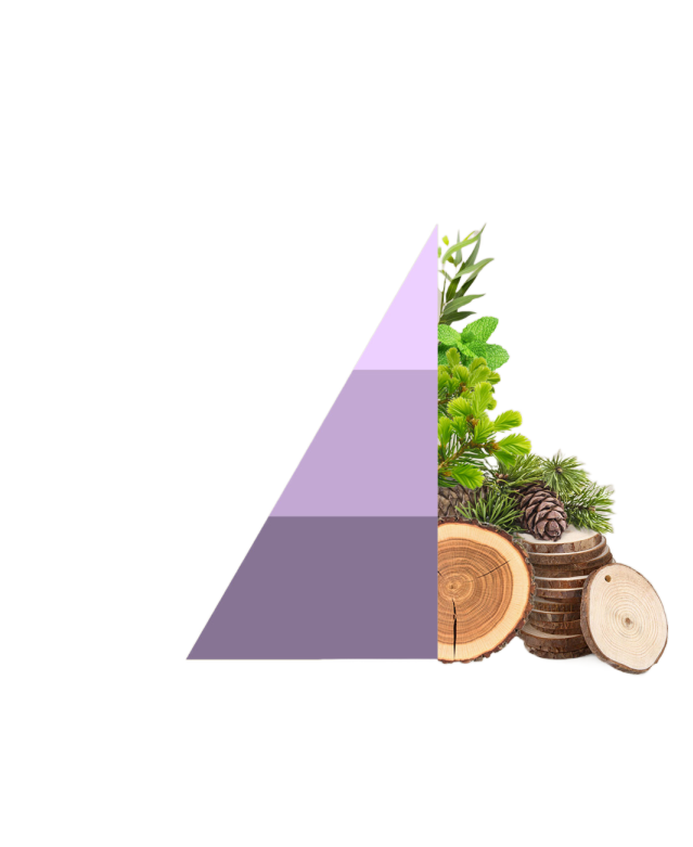 Geurzakjes Brezza di primavera