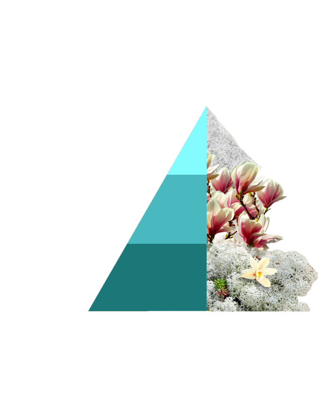 Geurzakjes Bianco infinito