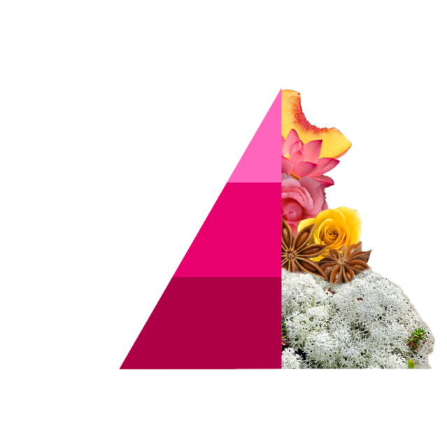 Geschenkset Muschi e Loto