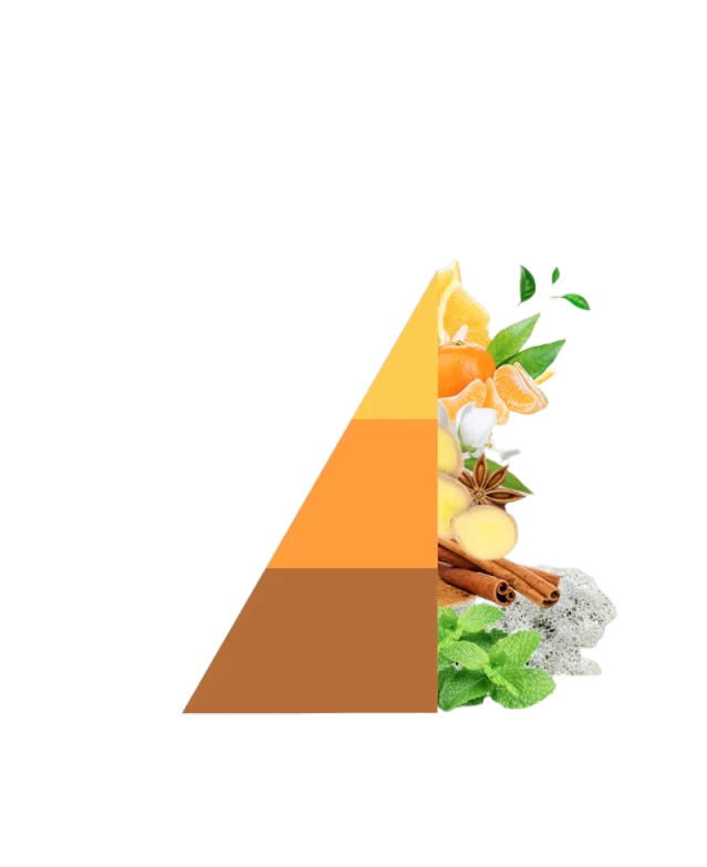 Refill geurstokjes Arancio e Cannella