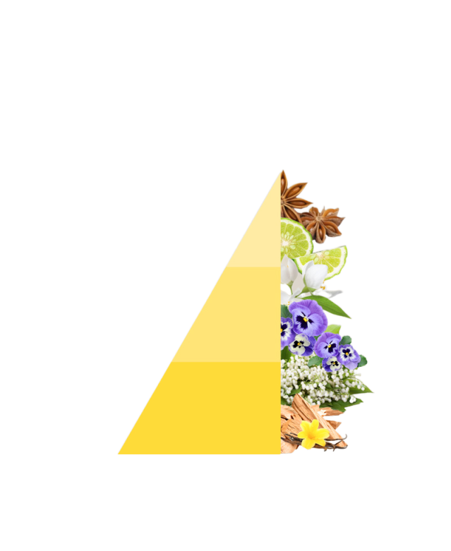 Refill geurstokjes Vanigilia e Benzoino