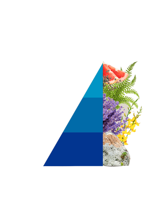 Refill geurstokjes fiori Blu