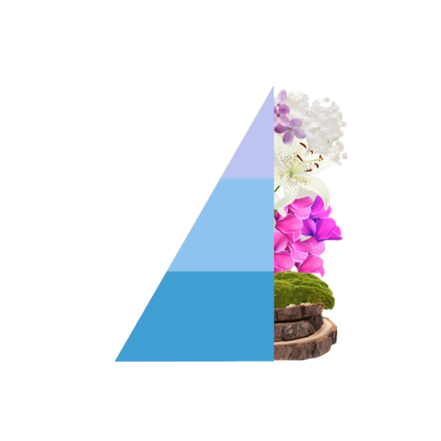 Geurstokjes Brezza Minerale