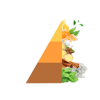 Geurstokjes Arancio e Cannella