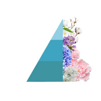 Geurstokjes Lino e fior di Cotone