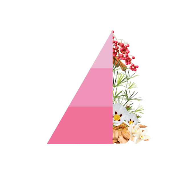 Geurkaars Sandalo e Pepe Rosa