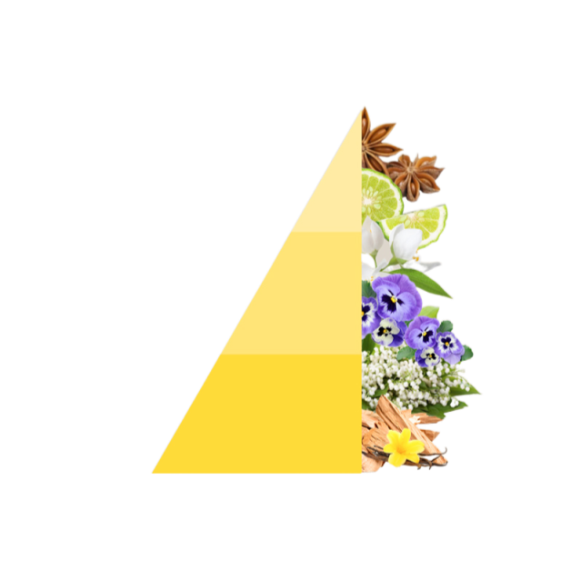 Geurstokjes Vanigilia e Benzoino