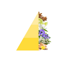 Geurstokjes Vanigilia e Benzoino