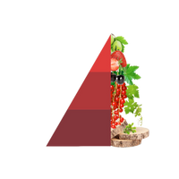 Geurstokjes Vigneto Rosso