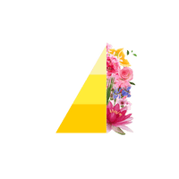 Horomia wasparfum citronella e geranio Geurschema