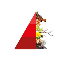 Geschenkset Legni Preziosi