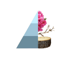 Geschenkset Fresh Cotton