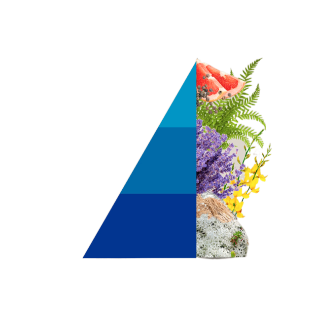 Geschenkset Blue Fior di Loto