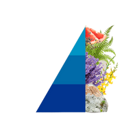 Geschenkset Blue Fior di Loto