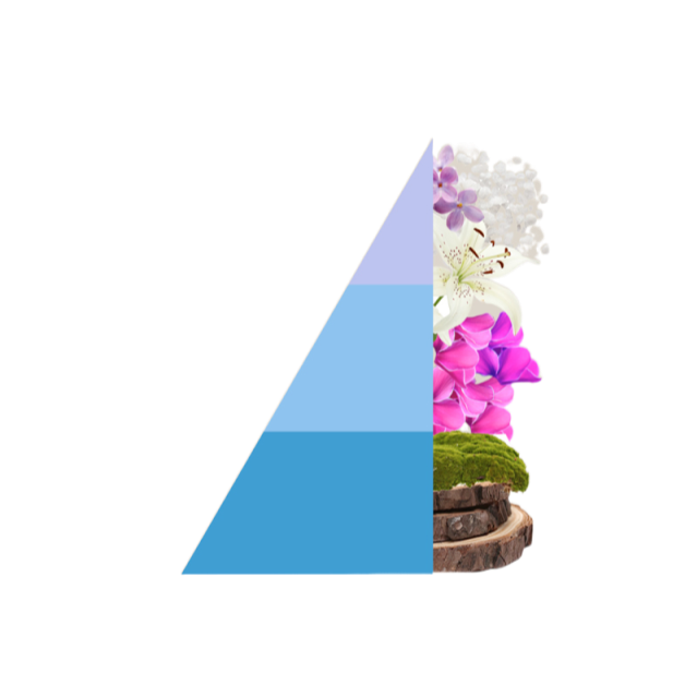 Roomspray Brezza Minerale