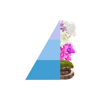 Roomspray Brezza Minerale