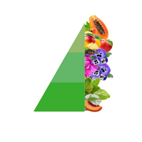 Horomia wasparfum spring-summer Seta e the bianco