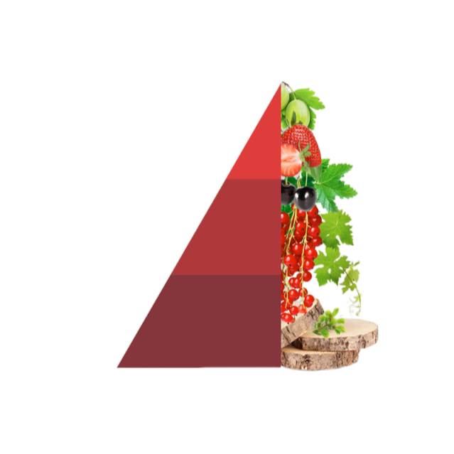 Roomspray Vigneto rosso