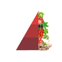 Roomspray Vigneto rosso