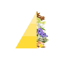 Roomspray Vaniglia e benzoino