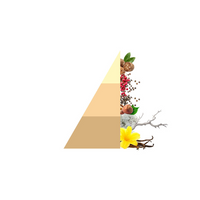 Geurstokjes Vanilla & Black pepper