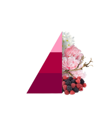 Geurzakjes Petali di peonia