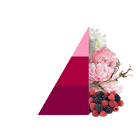 Horomia Wasparfum Petali di Peonia