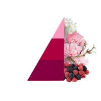 Horomia roomspray Bifase Petali di peonia