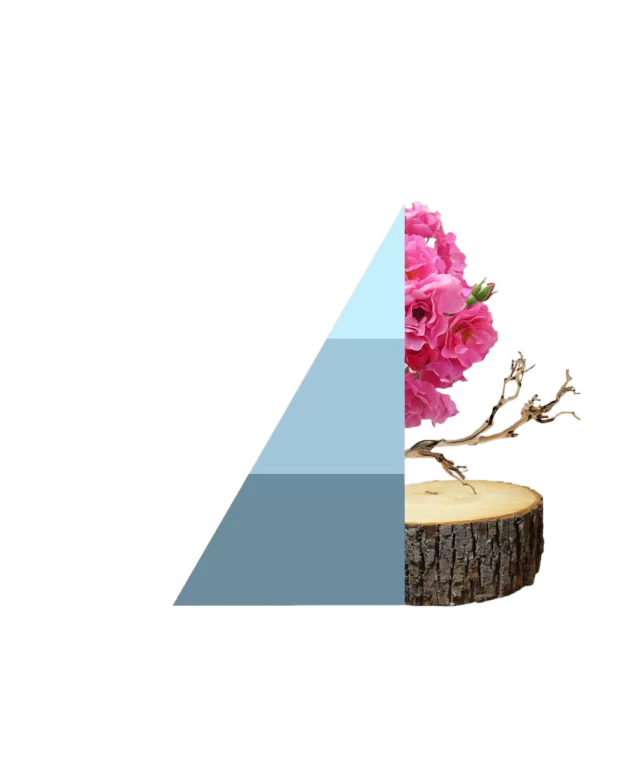 Geurzakjes Fresh Cotton