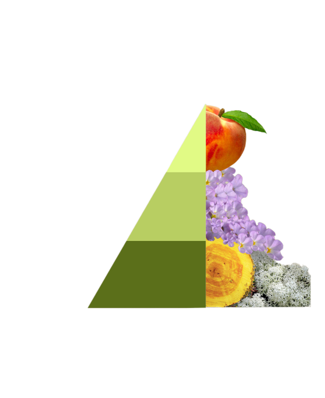 Horomia Wasparfum Musica del sole