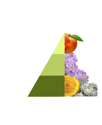 Horomia Wasparfum Musica del sole