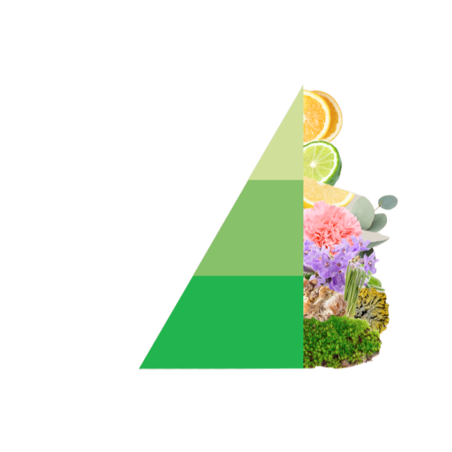 Horomia wasparfum Odour off