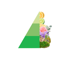 Horomia wasparfum Odour off