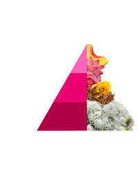 Geurzakjes Muschi e loto