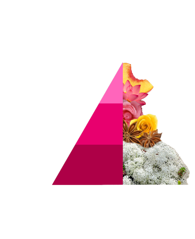 Horomia roomspray Bifase Muschi e Loto