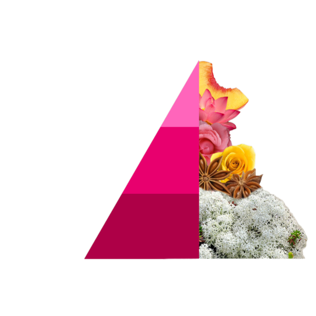 Horomia Wasparfum Muschi e loto