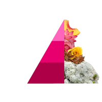 Horomia Wasparfum Muschi e loto