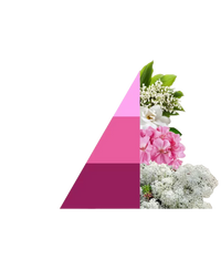 Geurzakjes Soffice talco