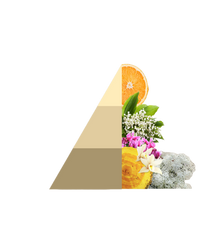 Geurzakjes Gold argan