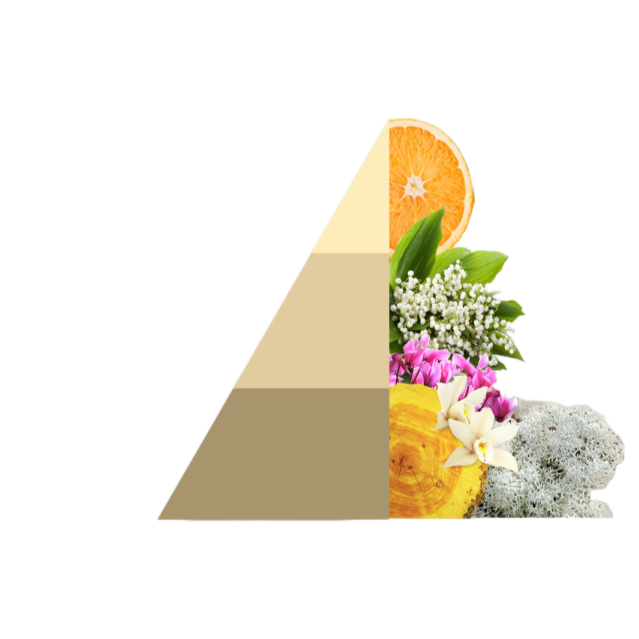 Horomia Wasparfum Gold Argan