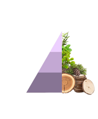 Geurzakjes Brezza di primavera