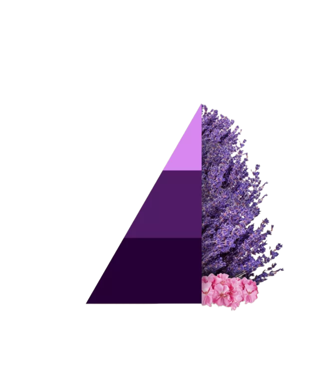 Geurzakjes Aromatic lavender