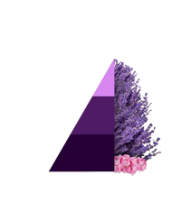 Geurzakjes Aromatic lavender