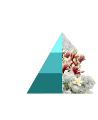 Geurzakjes Bianco infinito