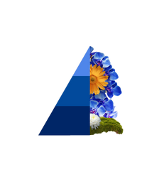 Geurzakjes Blue fior di loto